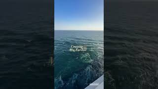 Luce dal balcone di Msc Euribia in crociera con msc friend gilda Luna #luce #msceuribia #crociera