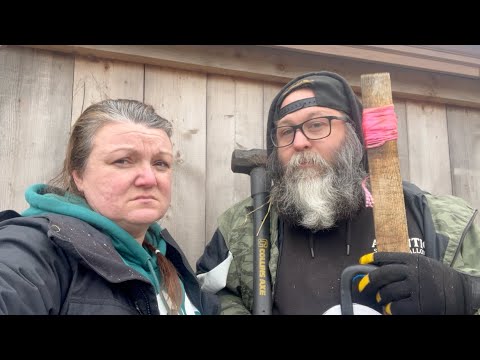 BAD NEIGHBORS! Huge headache on the farm!