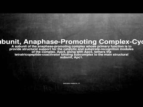 Medical vocabulary: What does Apc4 Subunit, Anaphase-Promoting Complex-Cyclosome mean