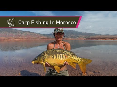 Carp Fishing In Morocco