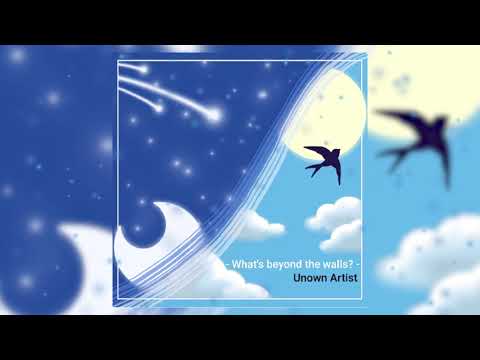 Unown Artist - What's beyond the walls?