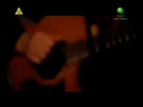 Jacek Kleyff - Przeźroczysty las 2004