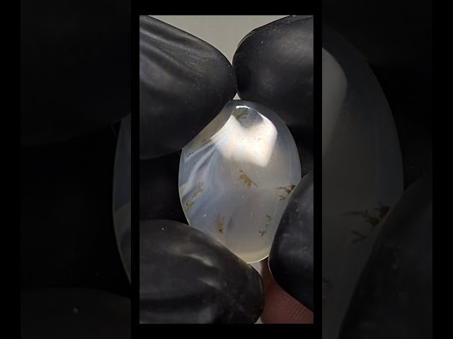 حجر عقيق شجري طبيعي