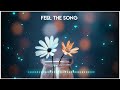 Mama O Mama Ringtone