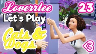 Cats & Dogs #23: Rejected Proposal!