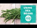 Fresh Things: How to Use Sea Beans