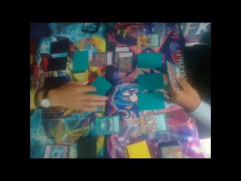 PALEOZOIC FROG VS METALFOES ZOODIAC