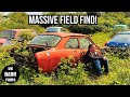 Barn Find Rescue | Massive Field Find