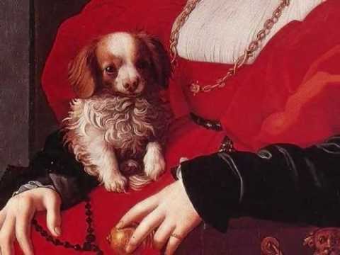 Francesco Corteccia, 5/7 Le Ninphe, Bronzino, Pontormo, Alessandro Allori