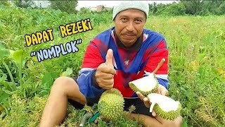 Download lagu mancing belut dapat rezeki nomplok/dapat durian gratis dari pemilik kebun mp3 Download lagu mancing belut dapat rezeki nomplok/dapat durian gratis dari pemilik kebun mp3