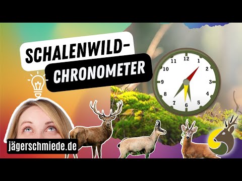 ⏱UNCED GAME CHRONOMETER⏱ - 🦊Hunting Exam Wildlife Science🦊