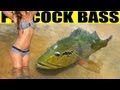 MONSTER PEACOCK BASS - Amazon River ...