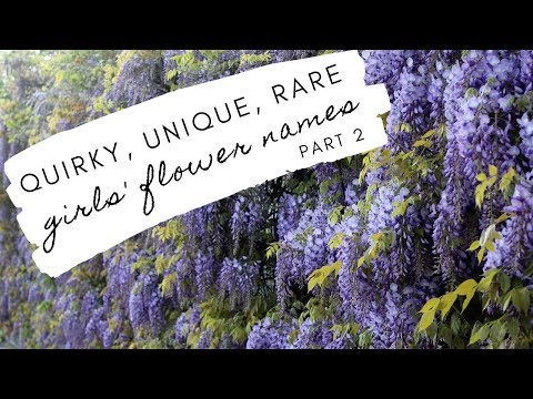 download lagu mp3 mp4 Names Inspired By Flowers, download lagu Names Inspired By Flowers gratis, unduh video klip Names Inspired By Flowers