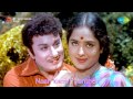 Naan Yen Pirandhen Naan Yen Pirandhen Song