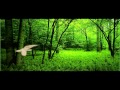 T-Bone Burnett "The Bird That I Held my Hand" (Es Vaporet, música amb imatges 2007)