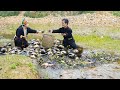 Dwarf Family Harvests And Processes Rock Snails On The Forest Stream Harvesting Joy