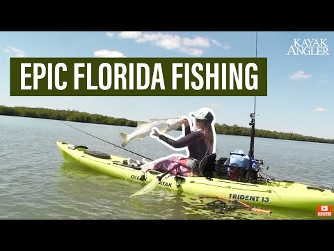 Kayak Kevin Whitleys epic Florida tour