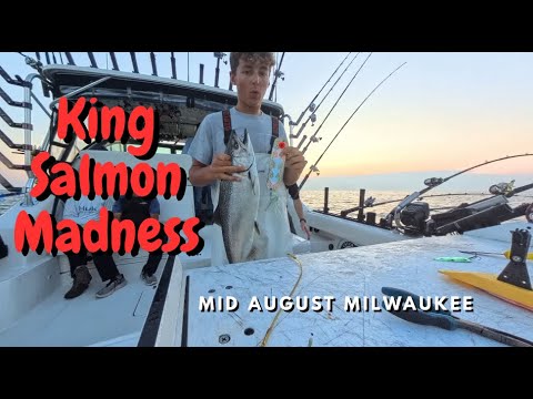 Bucket List Salmon Fishing with Non Stop Action - Milwaukee (Mid-August)