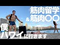 【始動】来年に向けて筋肉留学&筋肉○○のためにハワイに行きます。