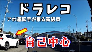 ドラレコ 自己中心