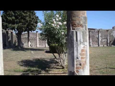 Pegasus Ryu sei ken in Pompei
