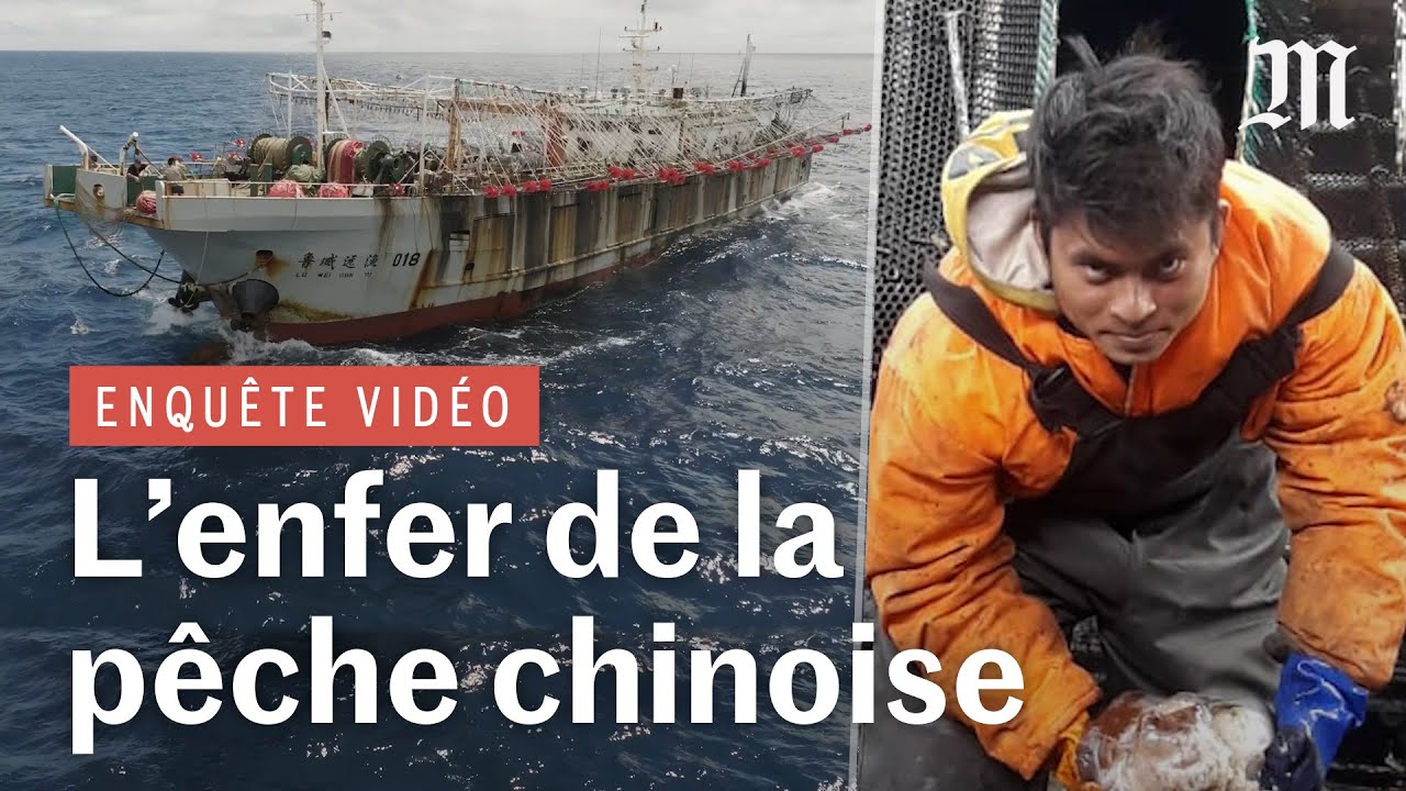 Enquête dans l’enfer des bateaux de pêche chinois de haute mer