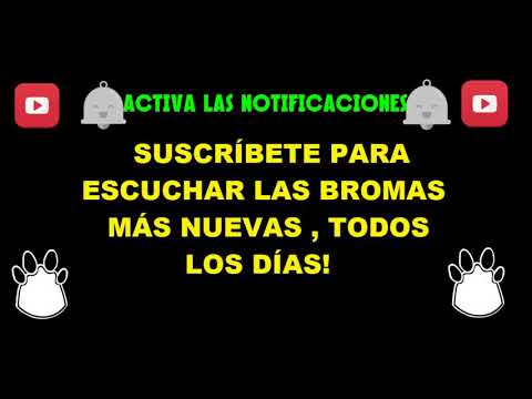 MEGA BROMON I INCREÍBLE BROMA CON ESTA SEÑORA! El panda show 2017