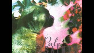 Pale Saints - Little Hammer