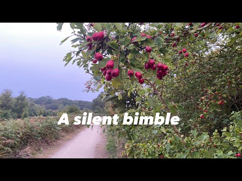 Silent bimble