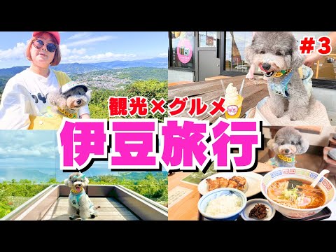 YouTube動画を再生