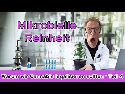 Warum sollte man Cannabis legalisieren? | Folge 4: Mikrobielle Reinheit