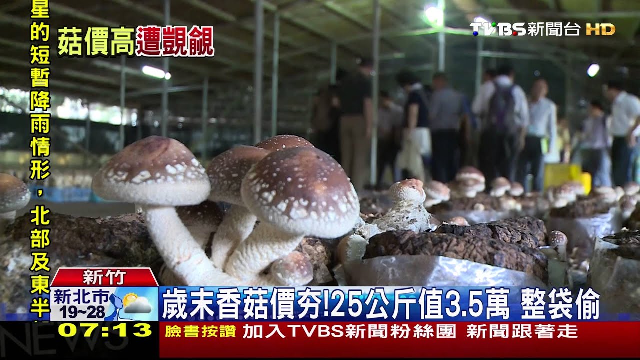 歲末香菇價夯!25公斤值3.5萬 整袋偷