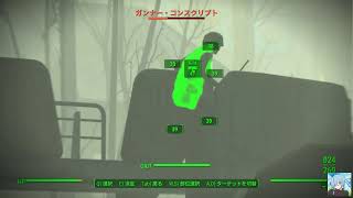 Fallout 4K Test