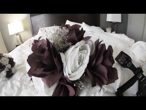 Shyvision photo video.