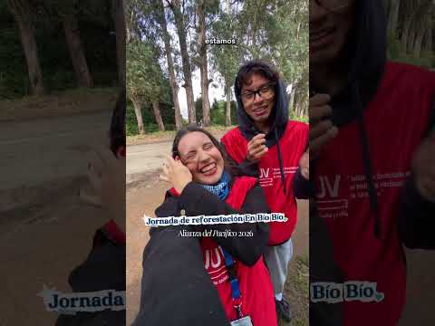 Un día conmigo como voluntaria de la Alianza del Pacífico 2026