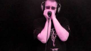 New Walkin' Blues - Paul Butterfield Rockin' Harmonica Cover