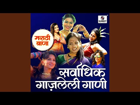 Aamdar Zalya Sarkha Vatatay