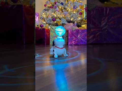 this puppy loves to dance #ytshorts #cute #satisfying #viralshort #dog #dancing #asmr