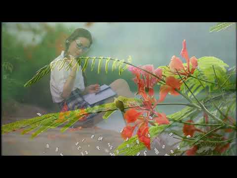 Hạ xưa Sheet - Nguyễn Quang