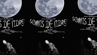 SOMNIS de VIDRE