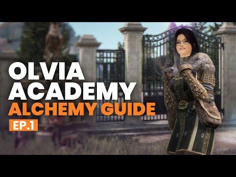 BDO | The BEST Olvia Academy Alchemy Questline Guide - EP.1