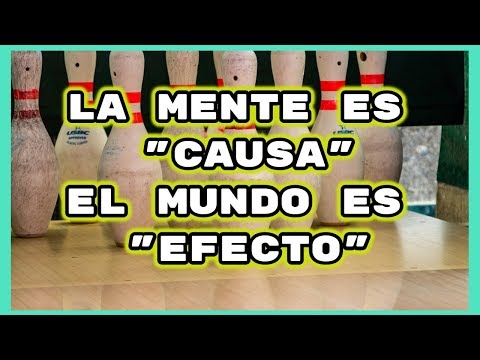 THE MIND IS CAUSE THE WORLD IS EFFECT