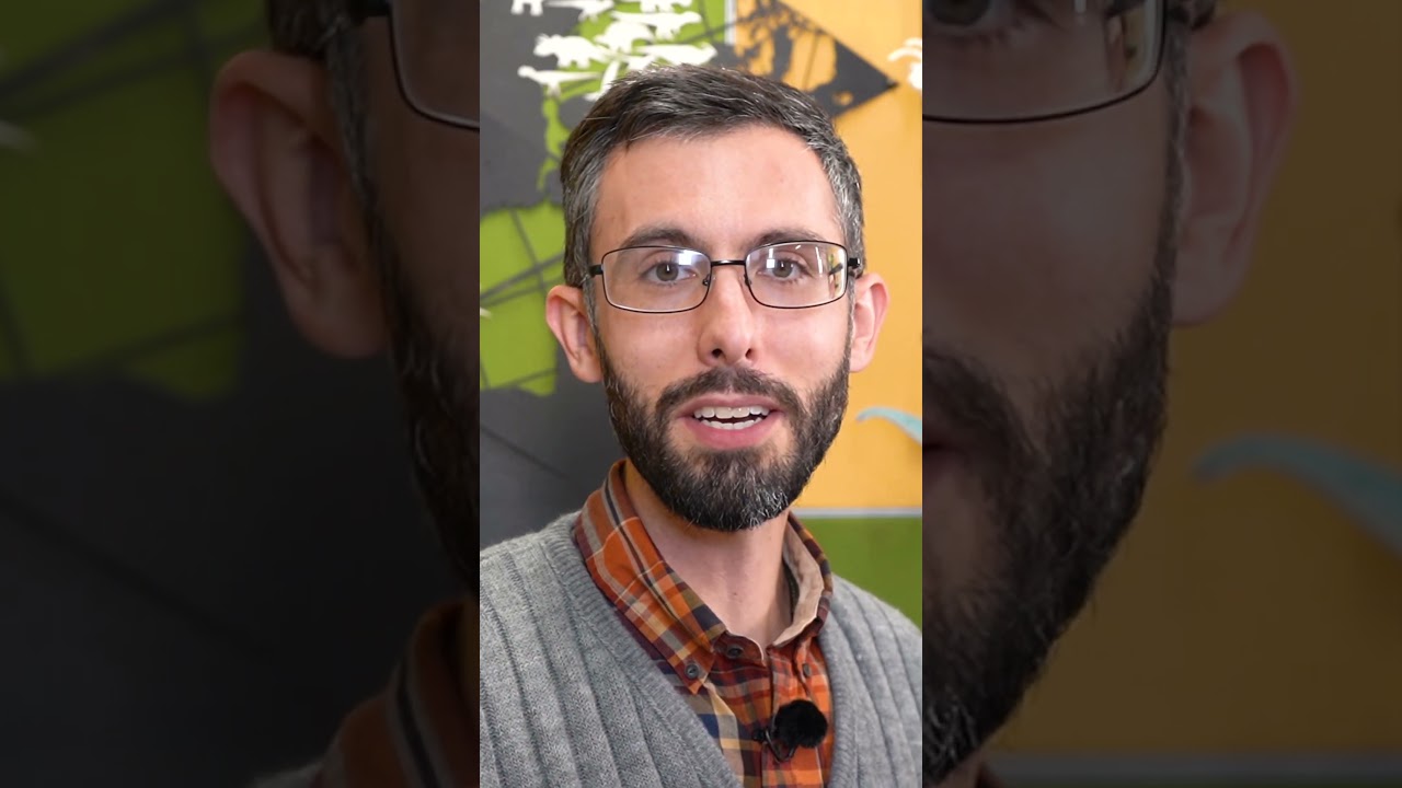 Could large theropods sneak? #dinosaur #prehistoric #prehistoriclife #trex #paleontology