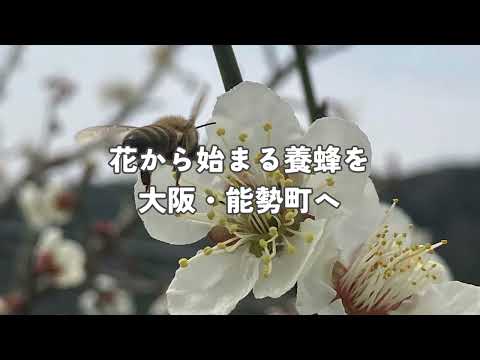商学科 豊中高等学校能勢分校　総合学科　ショートムービー2025
