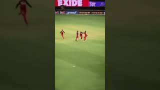 Harshal patel takes hat-trick against MI - fans live reaction - RCB vs MI - celebrating Virat kohli