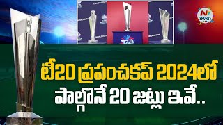 Full list of 20 teams qualified for the T20 World Cup 2024 | NTV SPORTS