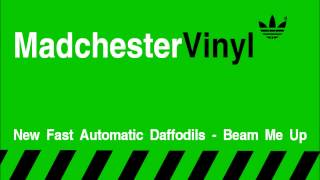 New Fast Automatic Daffodils 12" - Beam Me Up