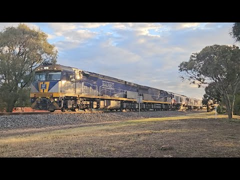 1PM9 SCT up "Dark Ghost" (CF CF CSR GL GL), Forrestfield to Laverton, 1925, 29/10/25, Horsham VIC 