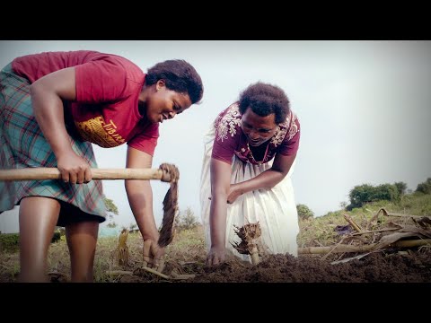 The seeds of change helping African farmers grow out of poverty | Andrew Youn