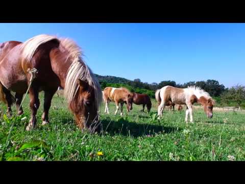 Complex Turistic Zolt